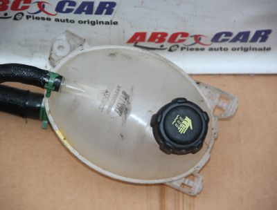 Vas expansiune Dacia Duster 2009-2017 217107259R