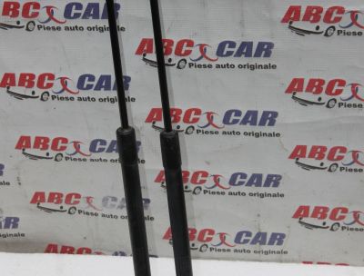 Amortizor haion Nissan Qashqai J10 2006-2013 90450JD01B