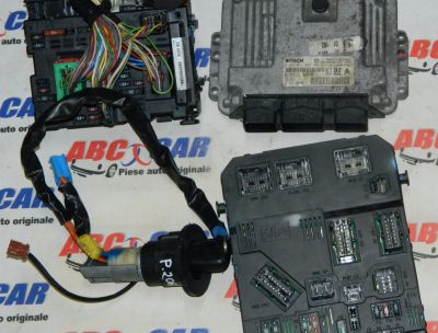 Panou sigurante Peugeot 206 1999-2010 1.4 HDI Cod: 9650664080