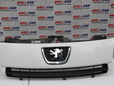 Grila bara fata Peugeot Expert 2 2007-2016