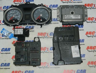 Panou sigurante Renault Megane 2 2002-2009 1.6 16v Cod: 8200262385A