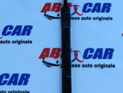 Amortizor haion Audi A3 8V 2012-2020 8V3827552
