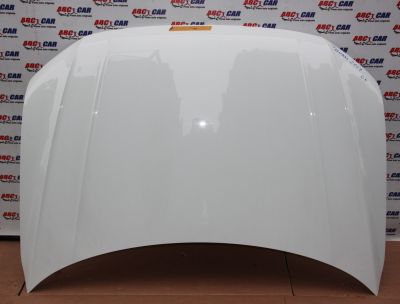 Capota fata VW Tiguan (AD1) 2016-2023
