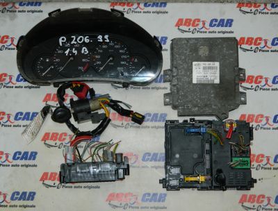 Panou sigurante Peugeot 206 1999-2010 14 Benzina Cod: 9627286880