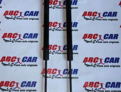 Telescop haion VW Tiguan (AD1) 2016-2023 5NA827550