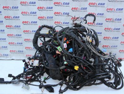 Instalatie electrica VW Amarok (2H) 2.0 biTDI 2010-2020