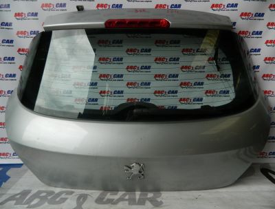 Haion Peugeot 308 2007-In prezent