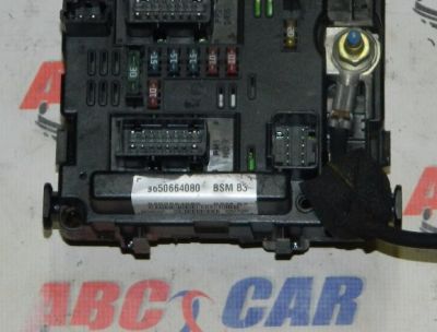 Panou sigurante Peugeot 206 1999-2010 1.6 16v Cod: 9650664080