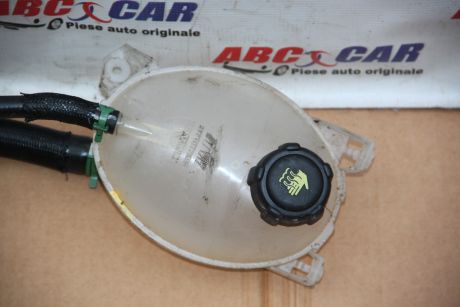 Vas expansiune Dacia Duster 2009-2017 217107259R