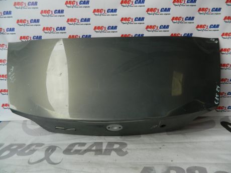 Haion BMW Z4 E85 1995-2002