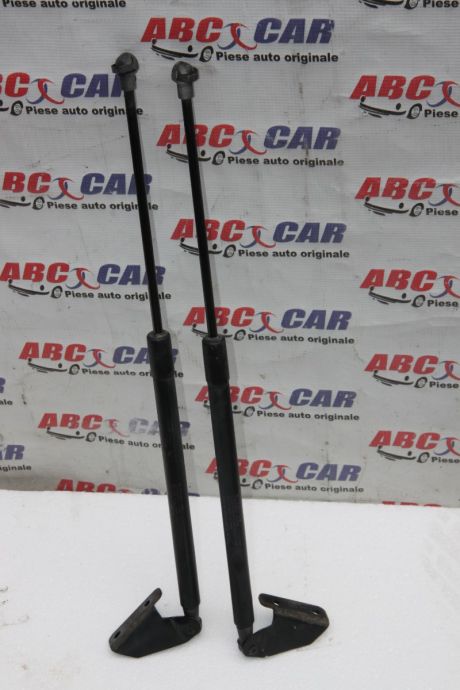 Amortizor haion Nissan Qashqai J10 2006-2013 90450JD01B