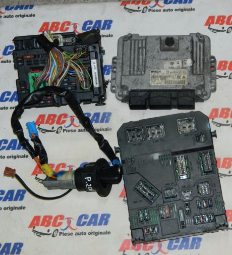 Panou sigurante Peugeot 206 1999-2010 1.4 HDI Cod: 9650664080