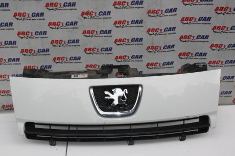 Grila bara fata Peugeot Expert 2 2007-2016