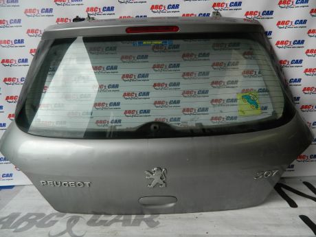 Haion Peugeot 307 2001-2008