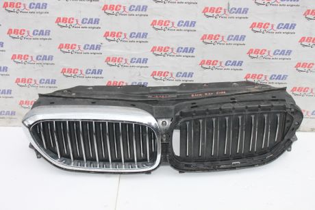 Grila radiatoare BMW Seria 5 G30/G31 2017-2024 7474370-03