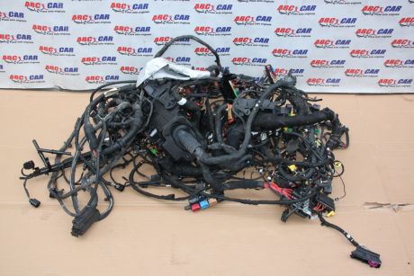 Instalatie electrica VW Amarok (2H) 2.0 BiTDI, 180cp 2010-prezent
