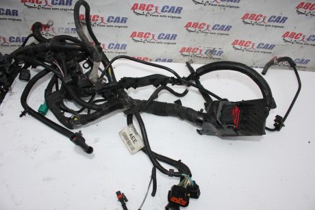 Instalatie motor Ford Fiesta 6 2009-2017 1.2 benzina 8V5T-12A522-AEE