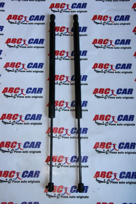 Telescop haion VW Tiguan (AD1) 2016-2023 5NA827550