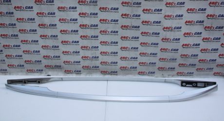 Bari longitudinale Renault Clio 3 estate 2005-2014