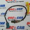 Sonda Lambda Citroen C5 Picasso COD: 0258006185
